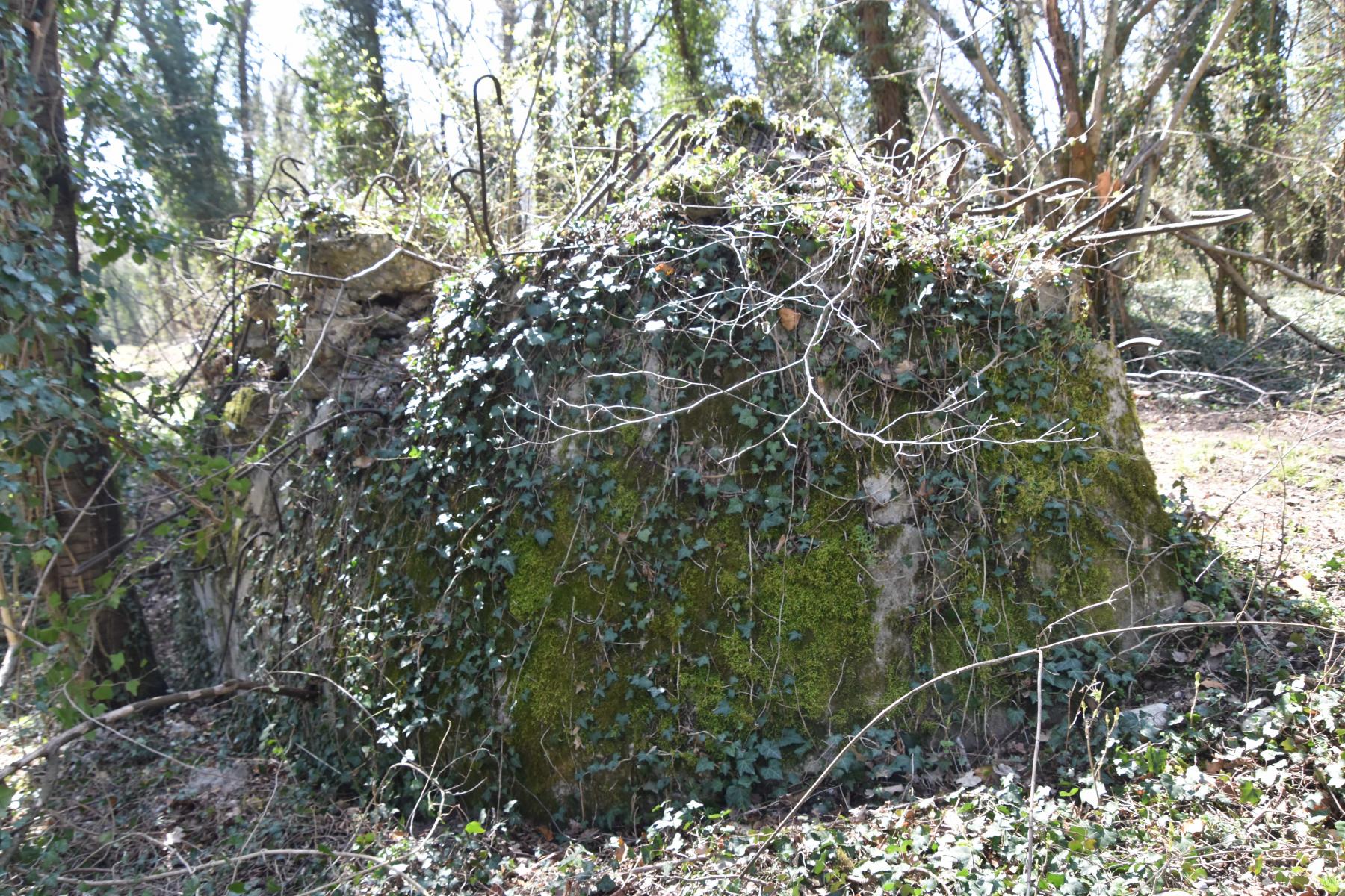 Ligne Maginot - G54 - PETIT-LANDAU BERGE 2 - (Blockhaus pour arme infanterie) - Côté berge du Rhin - Daniel Froehly