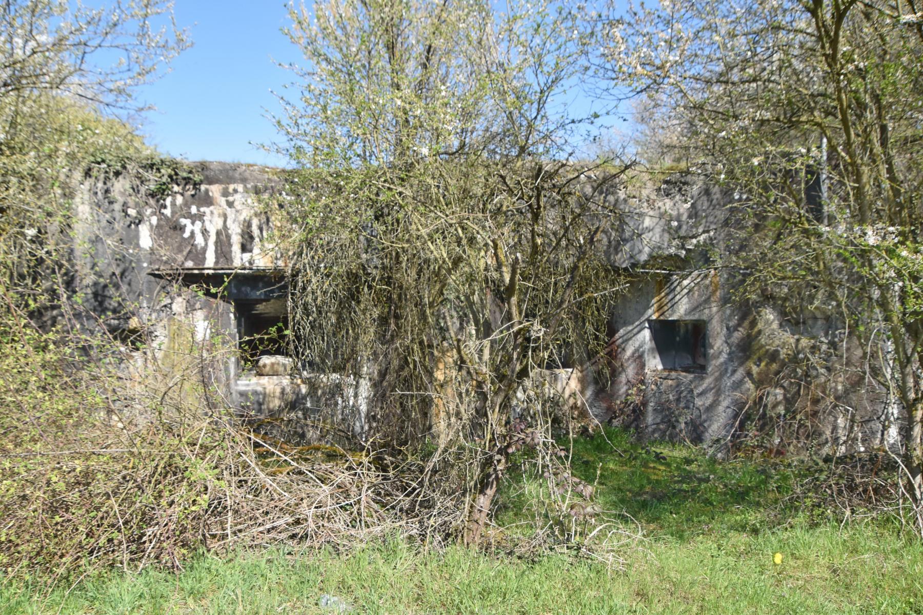 Ligne Maginot - 61/3 - OTTMARSHEIM SUD - (Casemate d'infanterie - Double) - Façade sud-créneaux canon a gauche et FM à droite - Daniel Froehly