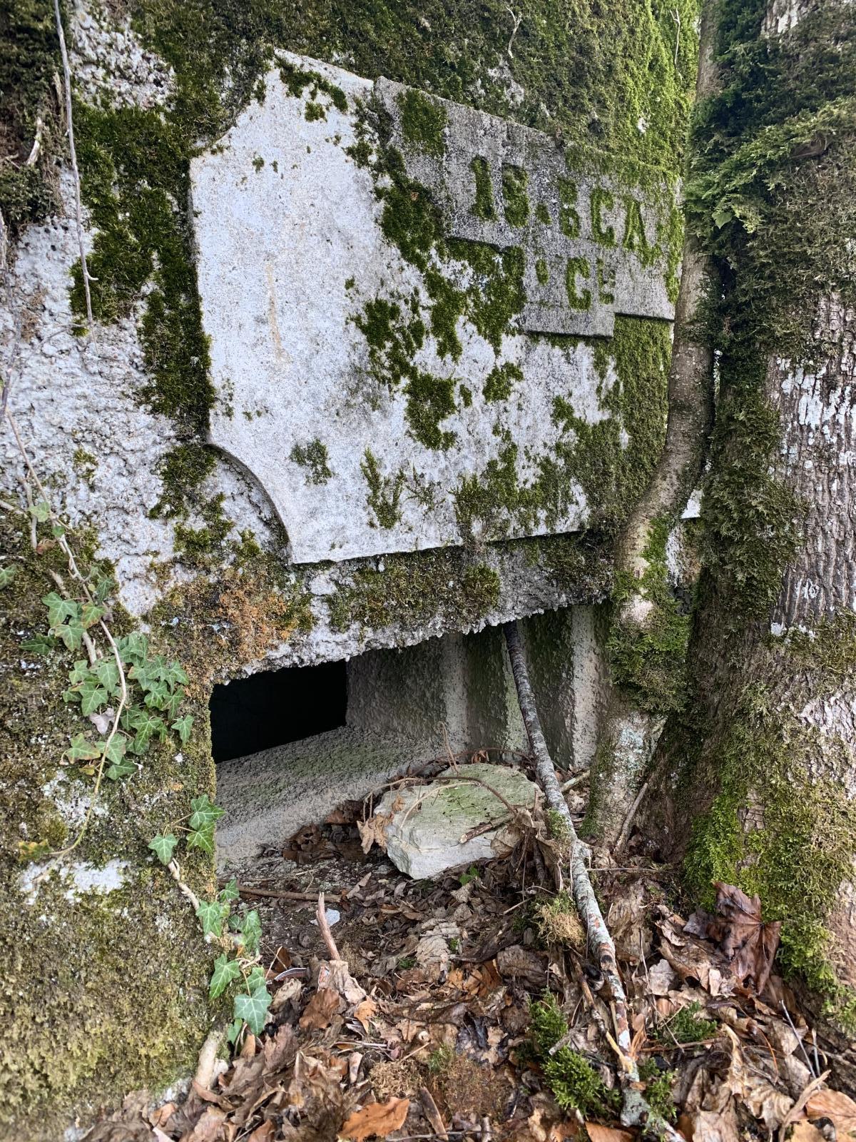 Ligne Maginot - SAEGERKOPF NORD - (Blockhaus pour arme infanterie) -  - Laurent Mokry