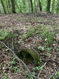 Ligne Maginot - VF60 - ANTENNE DE L'OUVRAGE DU FOUR-à-CHAUX - (RESEAU - Voie 60 - Antenne ou rocade ferroviaire) - Le type de passage sous talus pour les ruisseaux le long de la voie.
Noter la faible qualité de finition avec, une buse simplement posée.