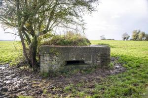 Ligne Maginot - B196 - COIN du MOULIN (Blockhaus pour arme infanterie) - 