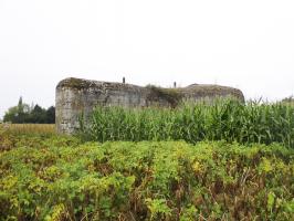Ligne Maginot - CEZF-H - RYVELD EST - (Casemate d'infanterie - Simple) - Vue prise du côté de Winnezeele