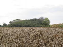 Ligne Maginot - B254 - LES MEURINS - (Blockhaus pour canon) - 