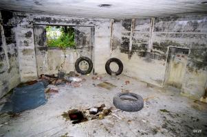 Ligne Maginot - BEF 301 - BOIS de la TASSONNIERE (Blockhaus pour canon) - 