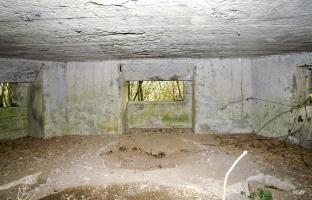 Ligne Maginot - B343 - BOIS DE BERCU NORD - (Blockhaus pour canon) - 