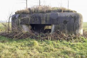 Ligne Maginot - B343 - BOIS DE BERCU NORD - (Blockhaus pour canon) - 