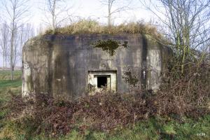 Ligne Maginot - B343 - BOIS DE BERCU NORD - (Blockhaus pour canon) - 