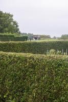 Ligne Maginot - B360 - CUL DU FOUR OUEST - (Blockhaus pour canon) - 