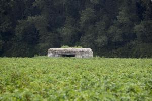Ligne Maginot - B366BIS - LE ROTELEUX - (Blockhaus pour canon) - 