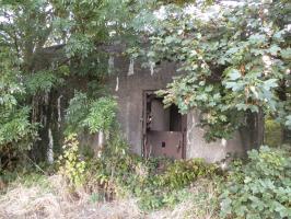 Ligne Maginot - B263 - LE VERTUQUET - (Blockhaus pour canon) - 