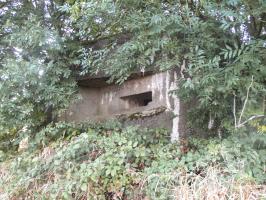 Ligne Maginot - B263 - LE VERTUQUET - (Blockhaus pour canon) - 