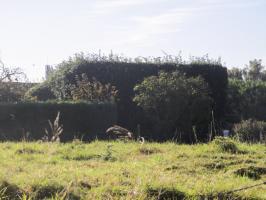 Ligne Maginot - B292 - VERT BOIS - (Blockhaus pour canon) - Vu de la rue du château d'eau.