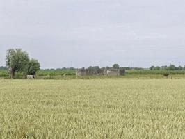 Ligne Maginot - BEF 7 - CHATEAU DES BOIS OUEST - (Abri) - 