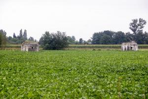 Ligne Maginot - BEF 682 - ROBREUX EST - (Blockhaus pour arme infanterie) - 