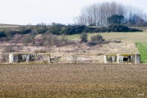 Ligne Maginot - BEF 667 - QUENPOINNE NORD - (Casemate d'artillerie) - 