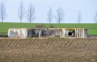 Ligne Maginot - BEF 667 - QUENPOINNE NORD - (Casemate d'artillerie) - 