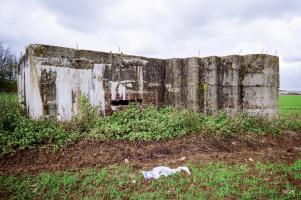 Ligne Maginot - BEF 203 - BABERMONT NORD - (Blockhaus pour arme infanterie) - 
