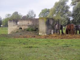 Ligne Maginot - BEF 341 - BLONDE RUE NORD - (Blockhaus pour arme infanterie) - Vu du chemin du circuit de la Commanderie.