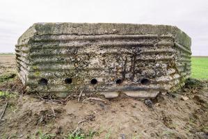 Ligne Maginot - BEF 659 - L'ARBRE - (Blockhaus de type indéterminé) - 