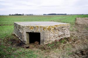 Ligne Maginot - BEF 659 - L'ARBRE - (Blockhaus de type indéterminé) - 