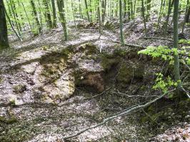 Ligne Maginot - SAUECK - (Position d'artillerie préparée) - Profonds encuvements pour probable cagna ou abri (Position Spitzberg).

Il est très compliqué de différencier les positions françaises sur ce côté, le Spitzberg étant un champ de bataille durant l'opération Nordwind en 1945, allemands et américains y avaient aussi leurs positions.