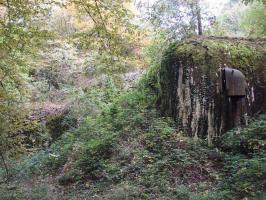Ligne Maginot - MONT DES WELCHES - A21 - (Ouvrage d'artillerie) - Bloc 4
Le bloc est entièrement merlonné et disparaît sous la végétation.