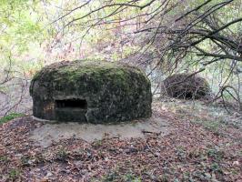 Ligne Maginot - MONT DES WELCHES - A21 - (Ouvrage d'artillerie) - Bloc 5
Vue d'ensemble.