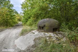 Ligne Maginot - VECKRING - X21 - (Abri) - Coffre Sud
Cloche GFM 