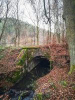 Ligne Maginot - VF60 - ANTENNE DE L'OUVRAGE DU SIMSERHOF - (RESEAU - Voie 60 - Antenne ou rocade ferroviaire) - PONT SUR LE SCHWANGERBACH
Pont de l'ancienne voie ferrée passant au dessus du Schwangerbach