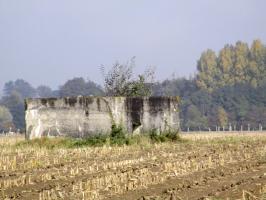 Ligne Maginot - BEF 568A - CRINQUET OUEST 1 - (Blockhaus pour arme infanterie) - Situé dans un champ cultivé, à gauche de la D 995 se dirigeant vers Planard.