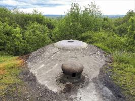 Ligne Maginot - KERFENT - A34 - (Ouvrage d'infanterie) - Bloc 4
La nature a bien poussée devant la cloche VP