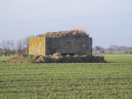 Ligne Maginot - BEF 604 - FOSSE HERSIN NORD - (Observatoire d'artillerie) - 