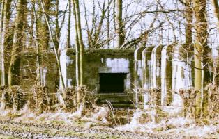 Ligne Maginot - BEF 709 - LE BOCAGE - (Casemate d'artillerie) - 