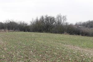 Ligne Maginot - GARTEN 1 - (Blockhaus pour arme infanterie) - Mars 2013