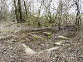 Ligne Maginot - HAMMELSWIESE 3 - (Blockhaus pour canon) - Vue générale