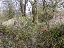 Ligne Maginot - HAMMELSWIESE 3 - (Blockhaus pour canon) - Tranchée