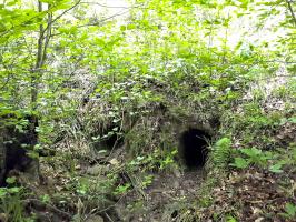 Ligne Maginot - VF60 - ANTENNE DE L'OUVRAGE DU FOUR-à-CHAUX - (RESEAU - Voie 60 - Antenne ou rocade ferroviaire) - 3 - PASSAGE SUR LE VERLORENERBACH
Le coté aval en l'état