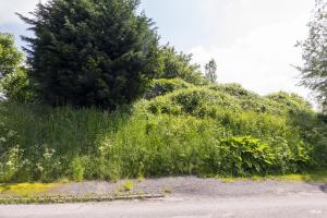 Ligne Maginot - B248 - MAISONS CATTEAU - (Blockhaus pour canon) - Coté arrière
Le blockhaus est construit sur une butte