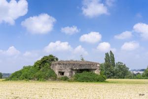 Ligne Maginot - B250 - NOUVEAU MONDE - (Blockhaus pour canon) - Vue général