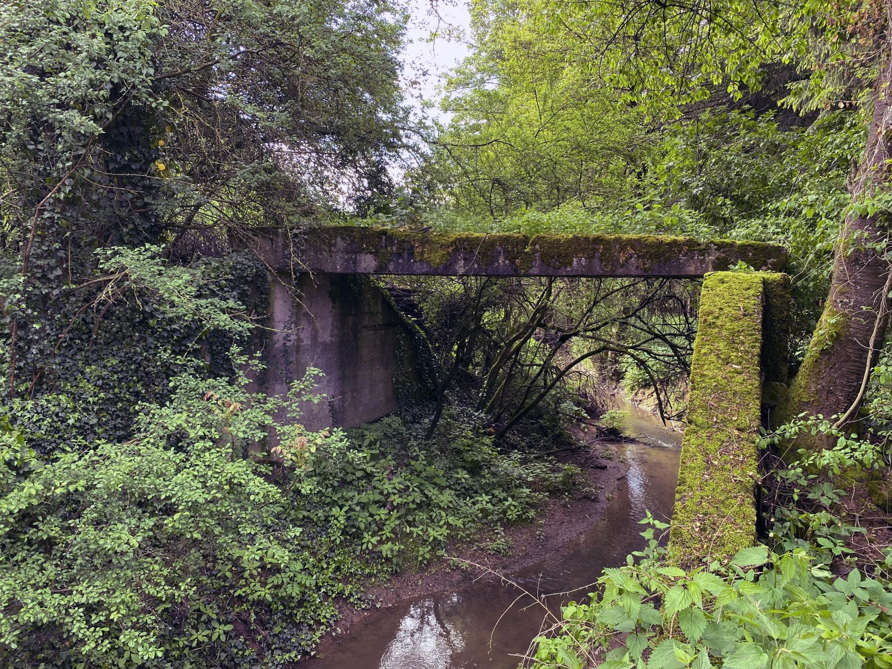 Ligne Maginot - VF60 - ANTENNE DE L'OUVRAGE DE SCHOENENBOURG - (RESEAU - Voie 60 - Antenne ou rocade ferroviaire) - 22 - PONT sur le BIRLENBAECHEL
Le pont vu du nord. Il était de part et d'autre d'un talus destiné à compenser une dépression du terrain.
 - Pascal Lambert