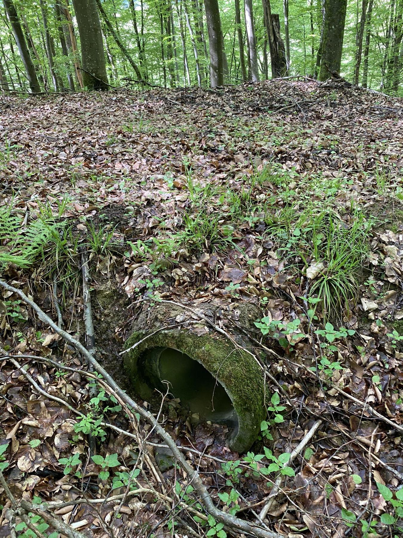 Ligne Maginot - VF60 - ANTENNE DE L'OUVRAGE DU FOUR-à-CHAUX - (RESEAU - Voie 60 - Antenne ou rocade ferroviaire) - Le type de passage sous talus pour les ruisseaux le long de la voie.
Noter la faible qualité de finition avec, une buse simplement posée. - Pascal LAMBERT