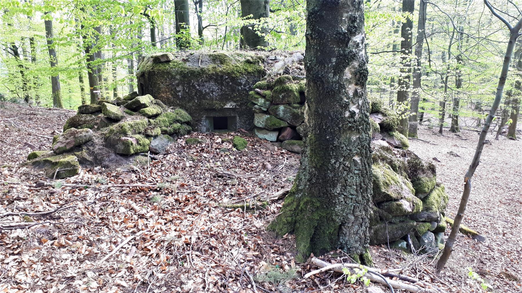 Ligne Maginot - FM41 - GRAND MUEHLBERG 1 - (Blockhaus pour arme infanterie) - Créneau de droite - Gregory Fuchs