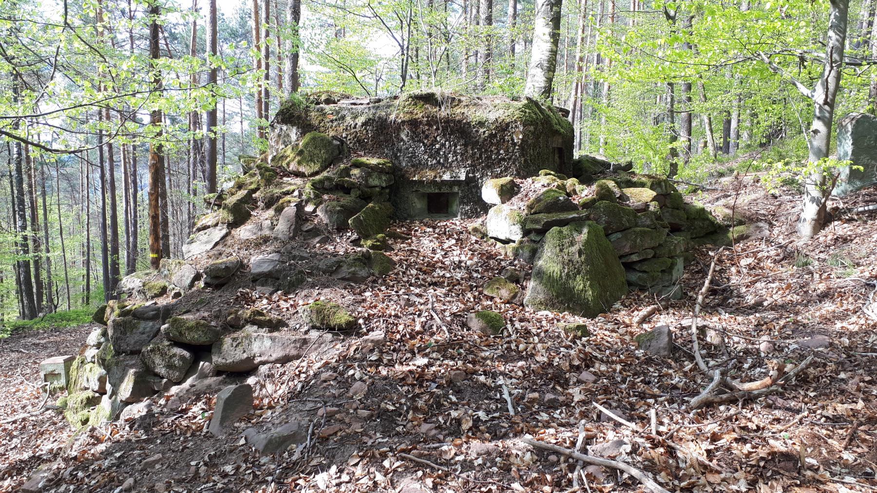 Ligne Maginot - FM41 - GRAND MUEHLBERG 1 - (Blockhaus pour arme infanterie) - Créneau de gauche - Gregory Fuchs
