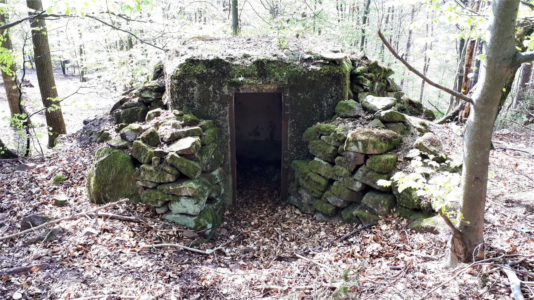 Ligne Maginot - FM41 - GRAND MUEHLBERG 1 - (Blockhaus pour arme infanterie) - L'entrée - Gregory Fuchs