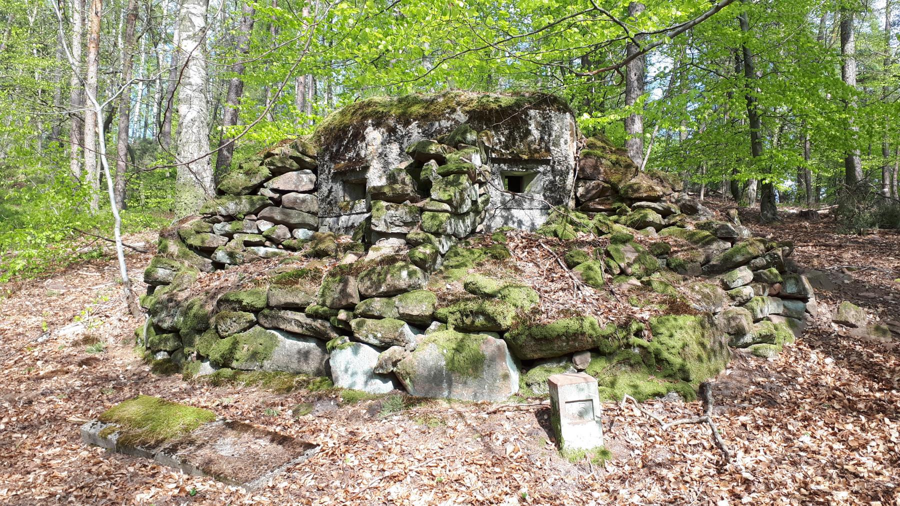 Ligne Maginot - FM41 - GRAND MUEHLBERG 1 - (Blockhaus pour arme infanterie) - Les deux créneaux frontaux - Gregory Fuchs