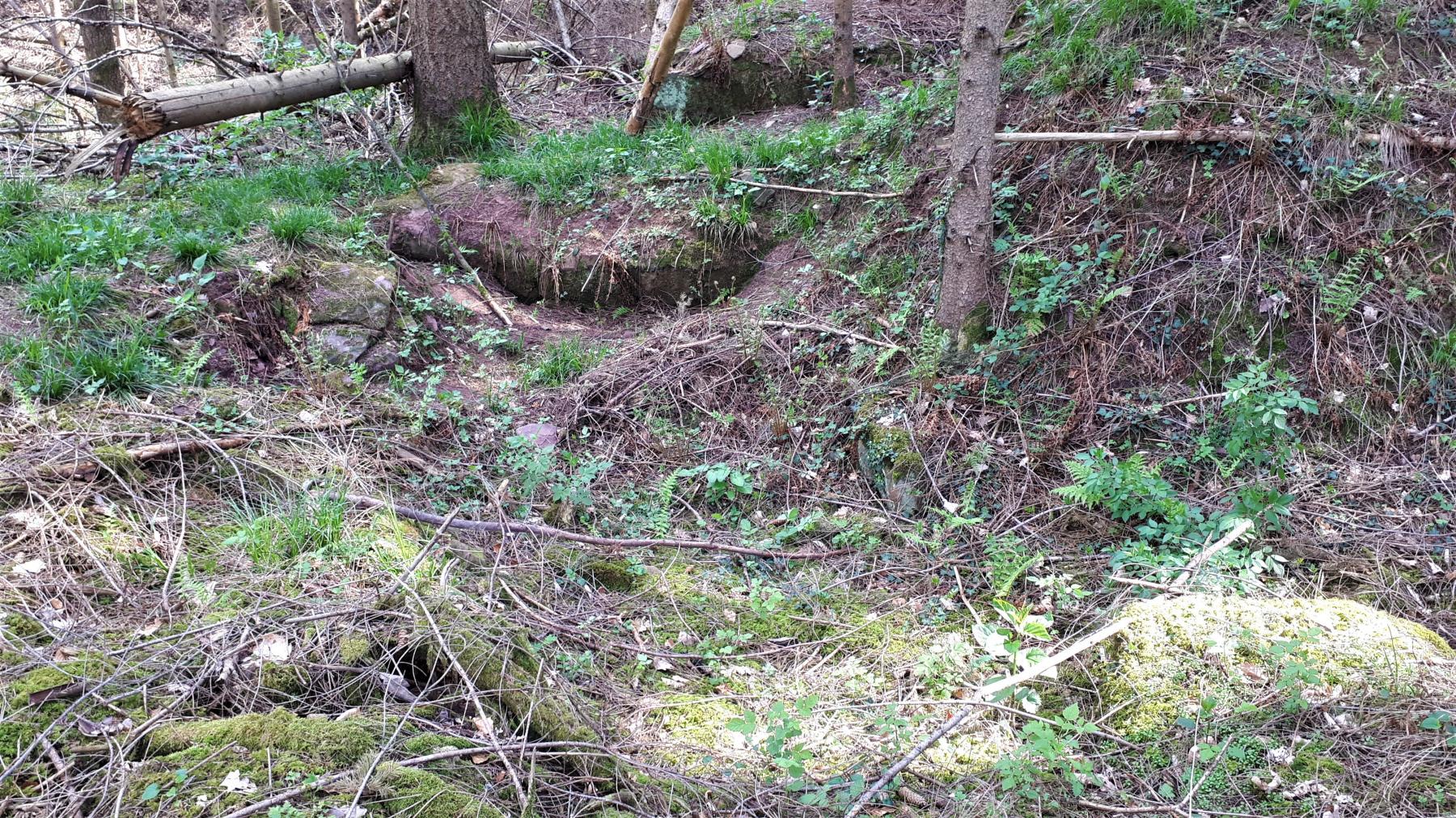 Ligne Maginot - NONNENHARDT (II°BON 165° RIF) - (PC de Quartier) - Retranchement - Gregory Fuchs