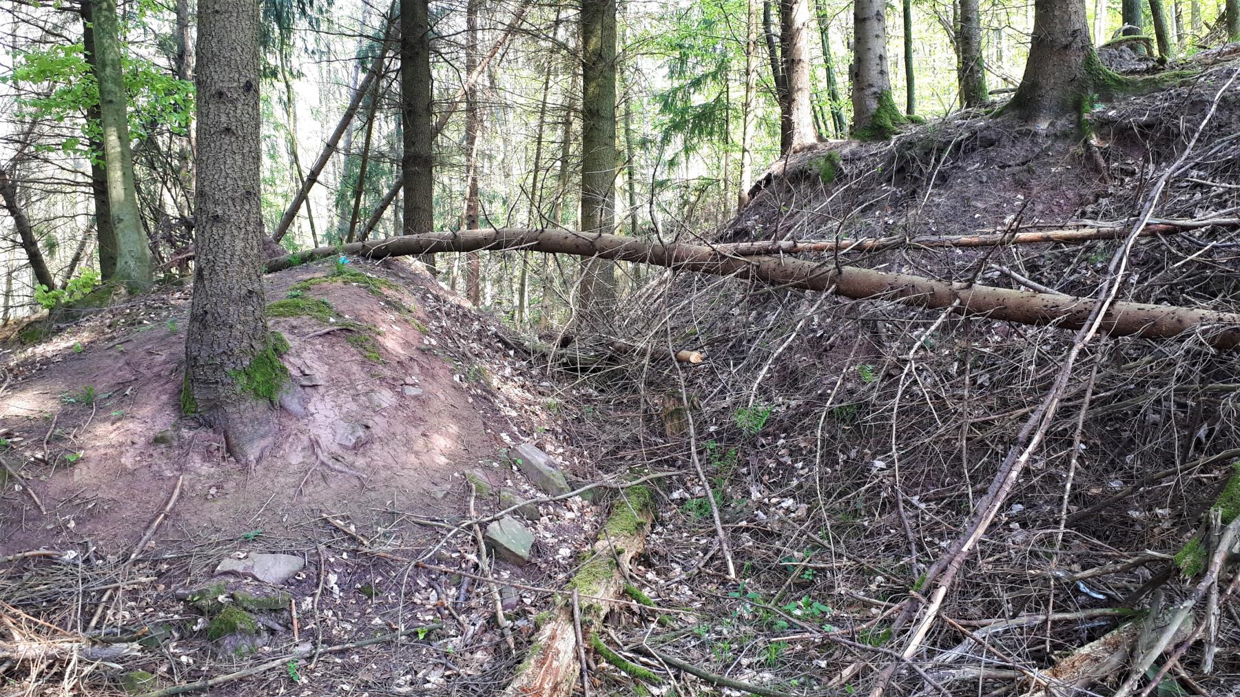 Ligne Maginot - NONNENHARDT (II°BON 165° RIF) - (PC de Quartier) - Tranchée donnant dans la carrière - Gregory Fuchs
