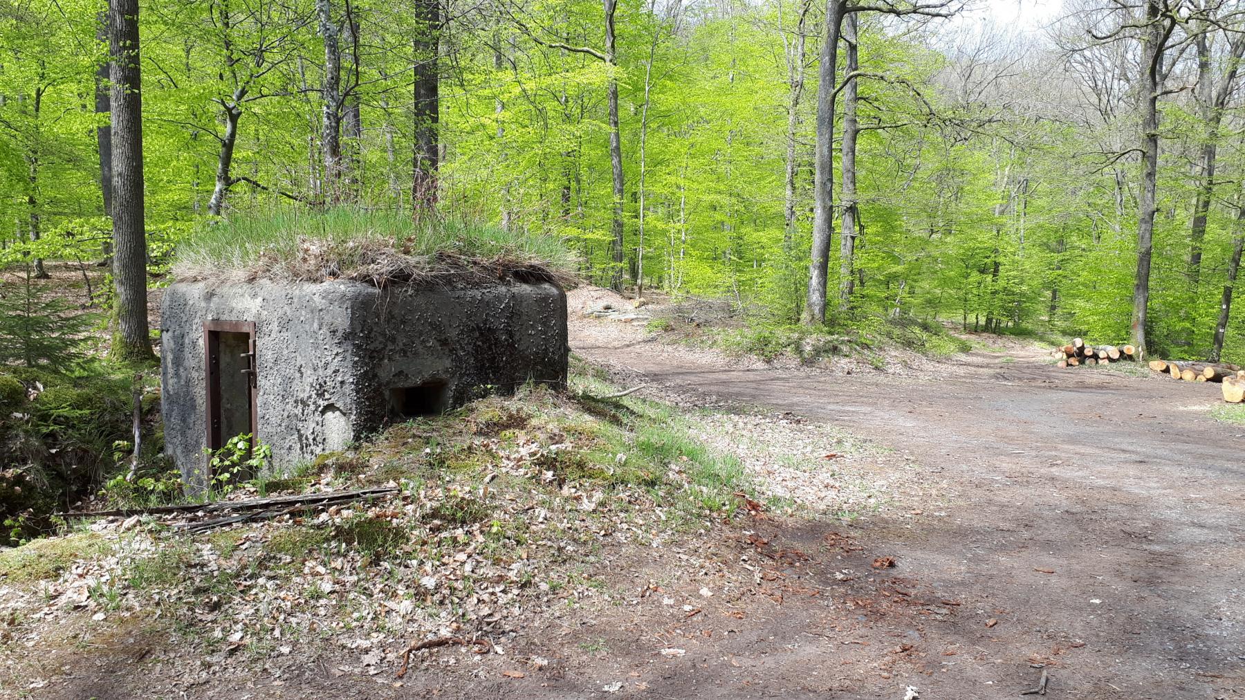 Ligne Maginot - FM38 - DIEBSKOPF 2 - (Blockhaus pour arme infanterie) - Entrée et créneau arrière droit - Gregory Fuchs