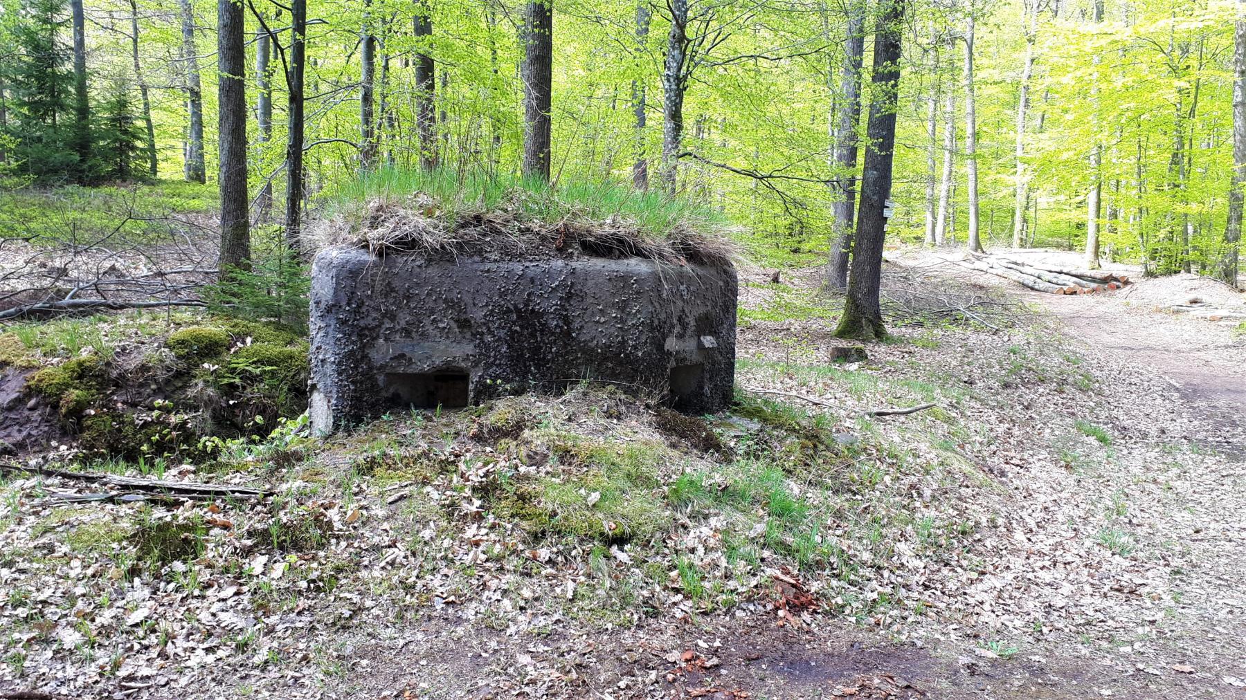 Ligne Maginot - FM38 - DIEBSKOPF 2 - (Blockhaus pour arme infanterie) - Vue coté droit - Gregory Fuchs