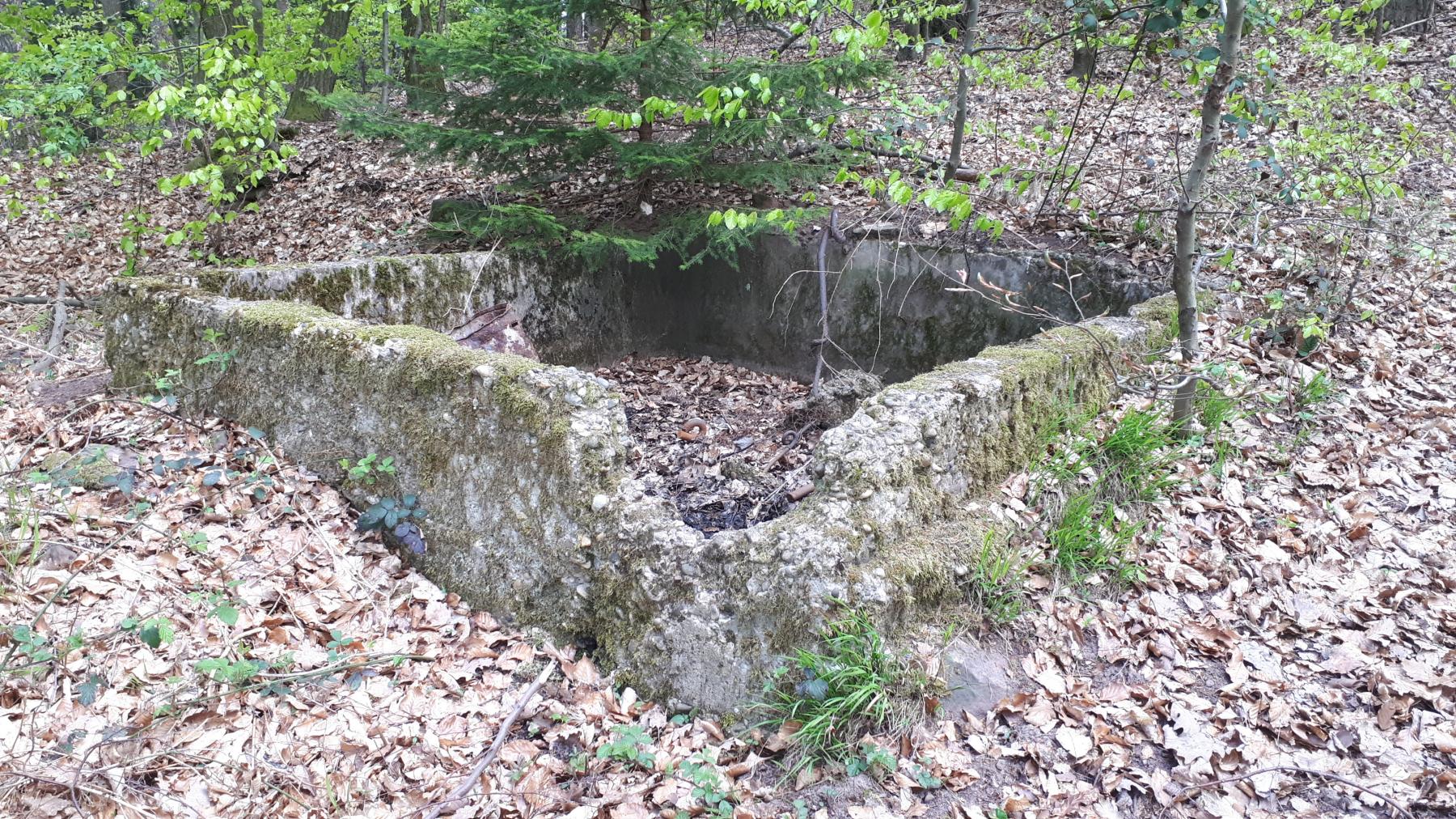 Ligne Maginot - GUNSTHAL COL - Un encuvement indéterminé derrière les blockhaus, sur l'arête du Diebskopf - Gregory Fuchs